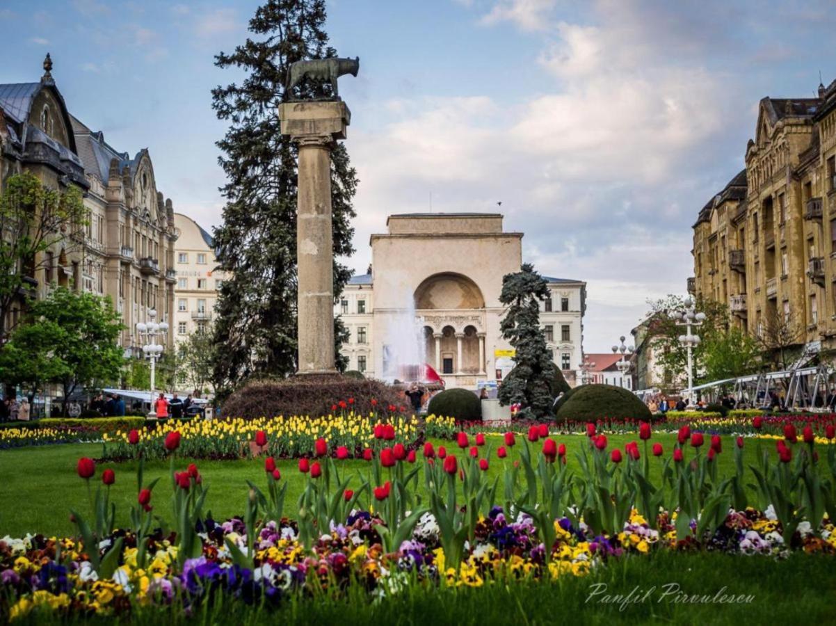 Premium Timisoara Timişoara Exterior foto