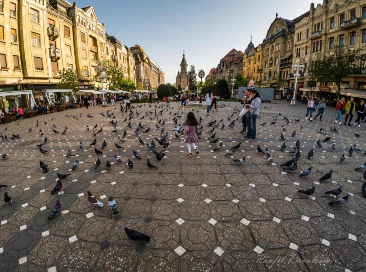 Premium Timisoara Timişoara Exterior foto